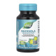 Rhodiola Rosea - 60 vcaps