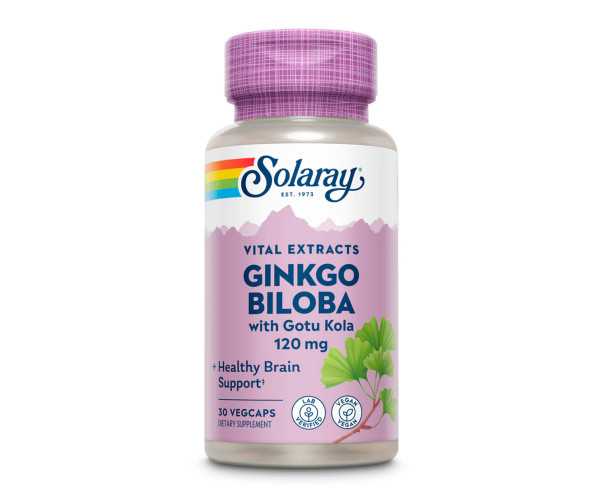 Ginkgo Biloba Extract One 120mg - 30 vcaps