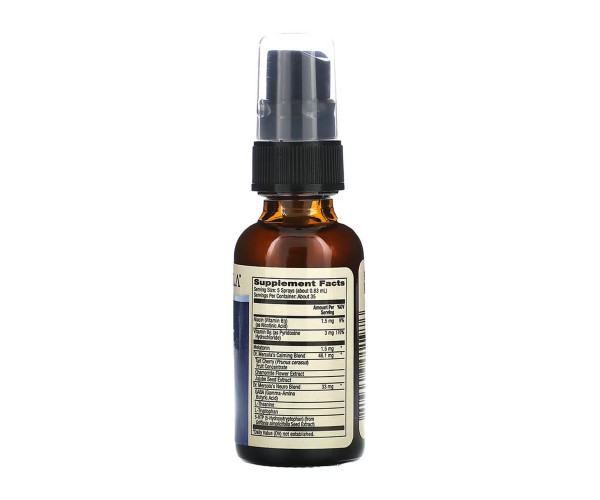 Sleep Support with Melatonin Spray - 29 ml