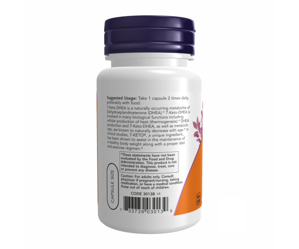 7-KETO 100 mg - 60 vcaps