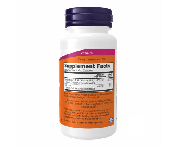PANTOTHENIC ACID 500mg - 100 vcaps