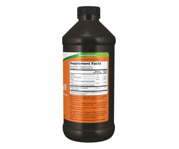 Chlorophyll Liquid Mint - 16 oz