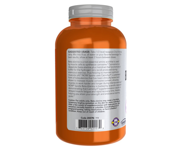 Beta Alanine Powder - 500g